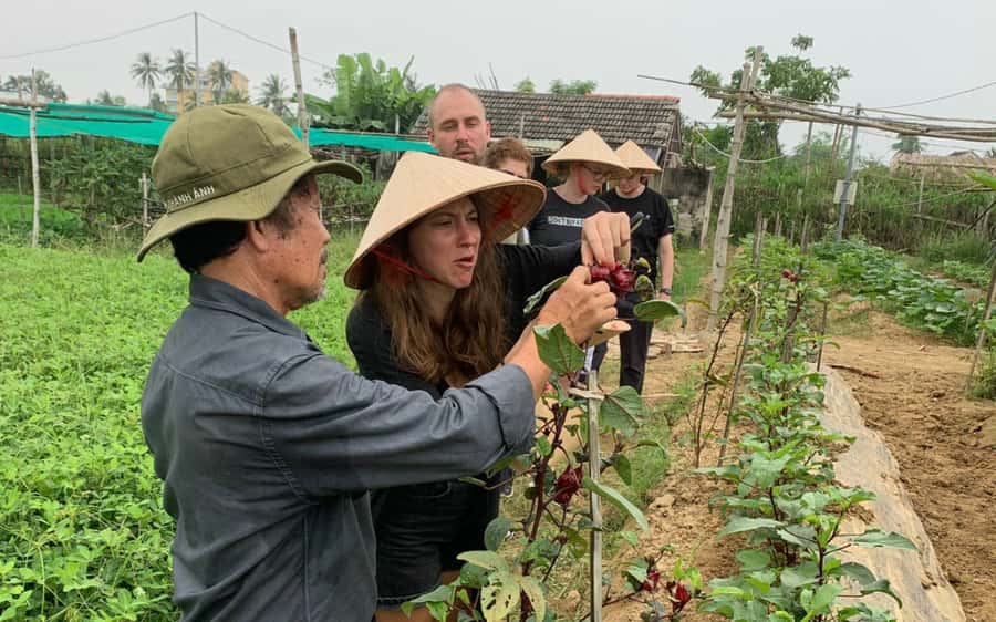 Rural Cycle, Market Tour, Basket Boat & Organic Farm Cooking - A four-hour route from Hoi An to the rice fields
