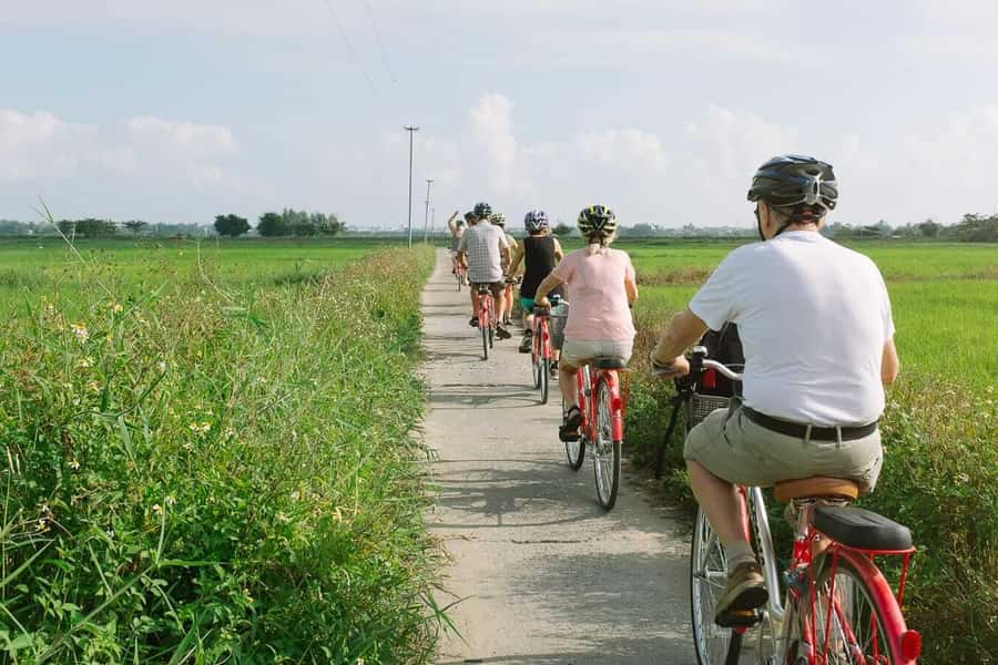 Rural Cycle, Market Tour, Basket Boat & Organic Farm Cooking - Working beside local organic farmers