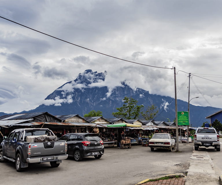 Sabah: Kinabalu Park, Hot Springs, and Cow Farm Day Tour - Kinabalu Park, two hours among rare plants and cool air