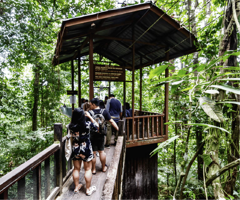 Sabah: Kinabalu Park, Hot Springs, and Cow Farm Day Tour - Desa Cattle Dairy Farm, a surprisingly popular stop