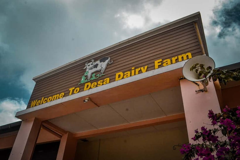 Sabah: Kinabalu Park, Poring Hot Springs & Desa Farm Tour - Is $79 fair value?