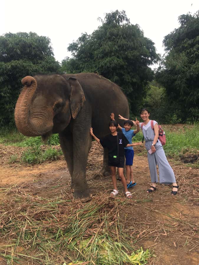 Safari Lagoi & Eco Farm Bintan - A refuge visit, not a standard zoo stop