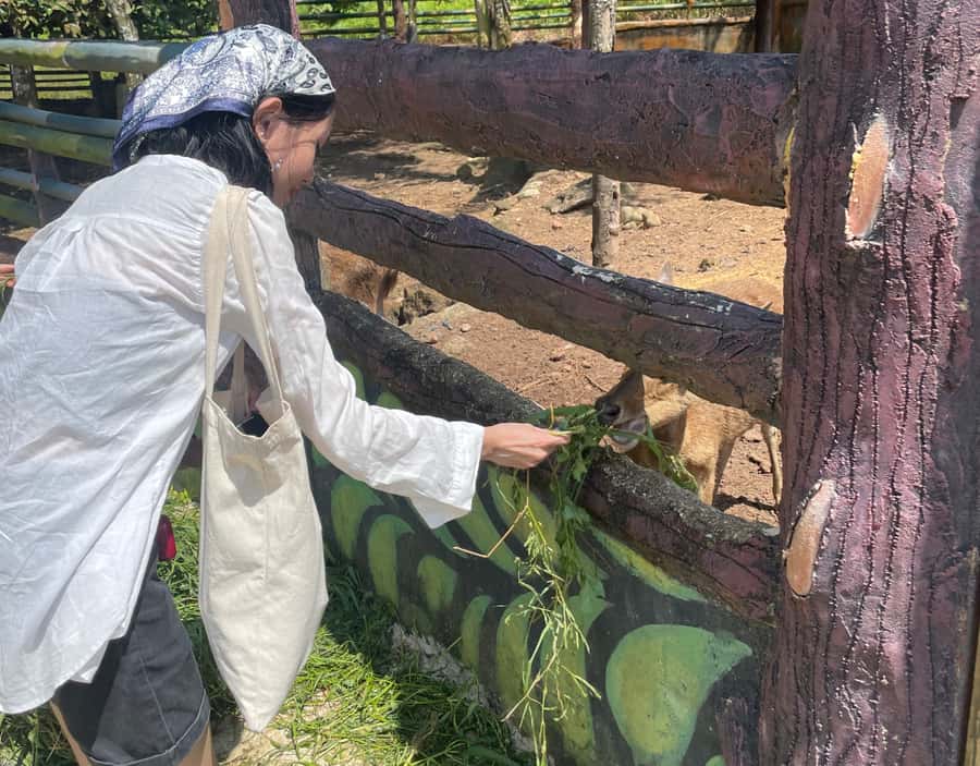 Safari Lagoi & Eco Farm Bintan - What to bring, and what to wear