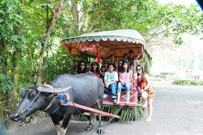 Sagada and Banaue Rice Terraces 4-Day Tour - Batad Rice Terraces and Tappiya Falls