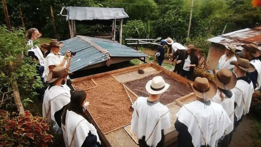 Salento and Cócora Tour + Coffee Farm from Pereira/Armenia - Key points to know before you book