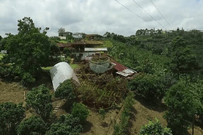 Salento and Cócora Tour plus Coffee Farm from Pereira or Armenia - Salento’s Royal Street and short town visit