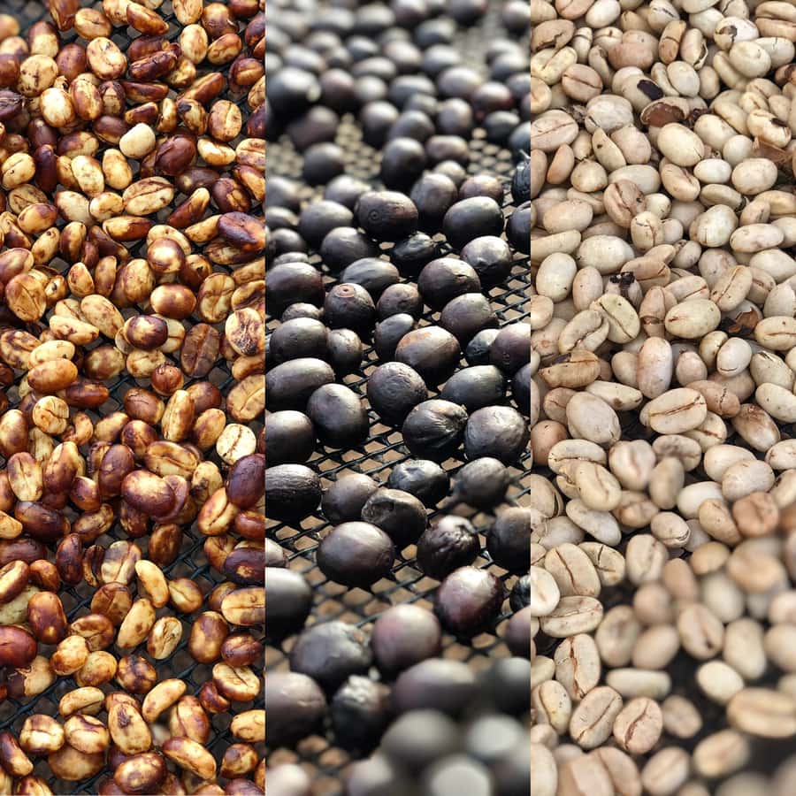 Salento: Coffee Farm Tour with Tasting - What Guides Kevin and Marlon Add
