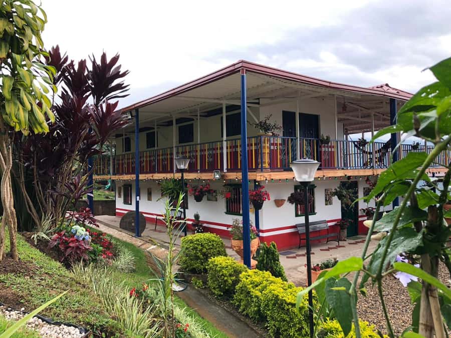 Salento: Coffee Farm Tour with Tasting - Why Picking and Planting Matter