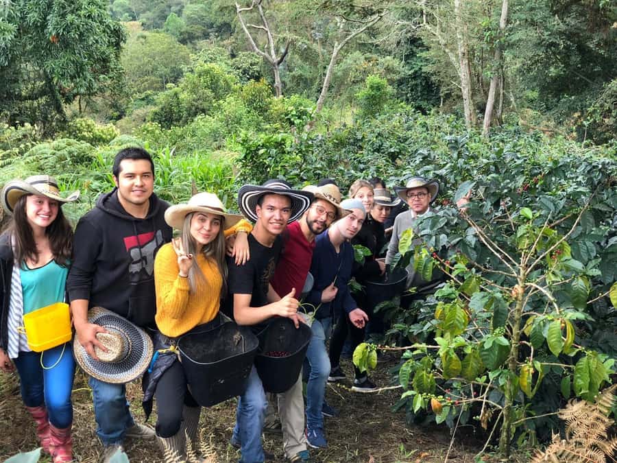 Salento: Private Cocora Valley, Salento & Coffee Farm Tour - Key points to know before booking
