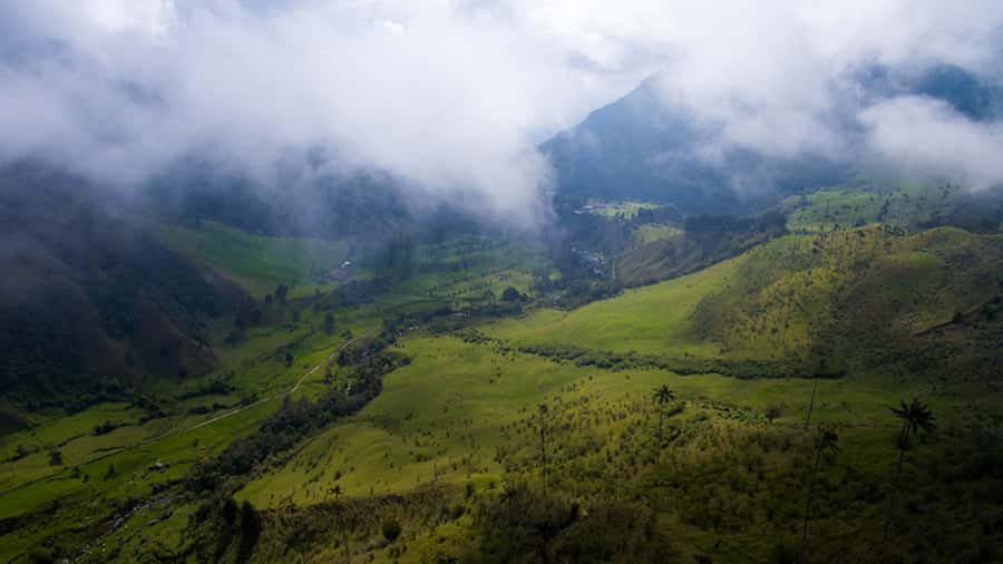 Salento: Private Cocora Valley, Salento & Coffee Farm Tour - Practical preparation for the day