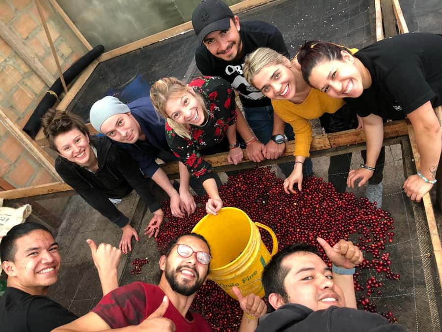 Salento: Private Cocora Valley, Salento & Coffee Farm Tour - Why this Cocora Valley and coffee pairing works