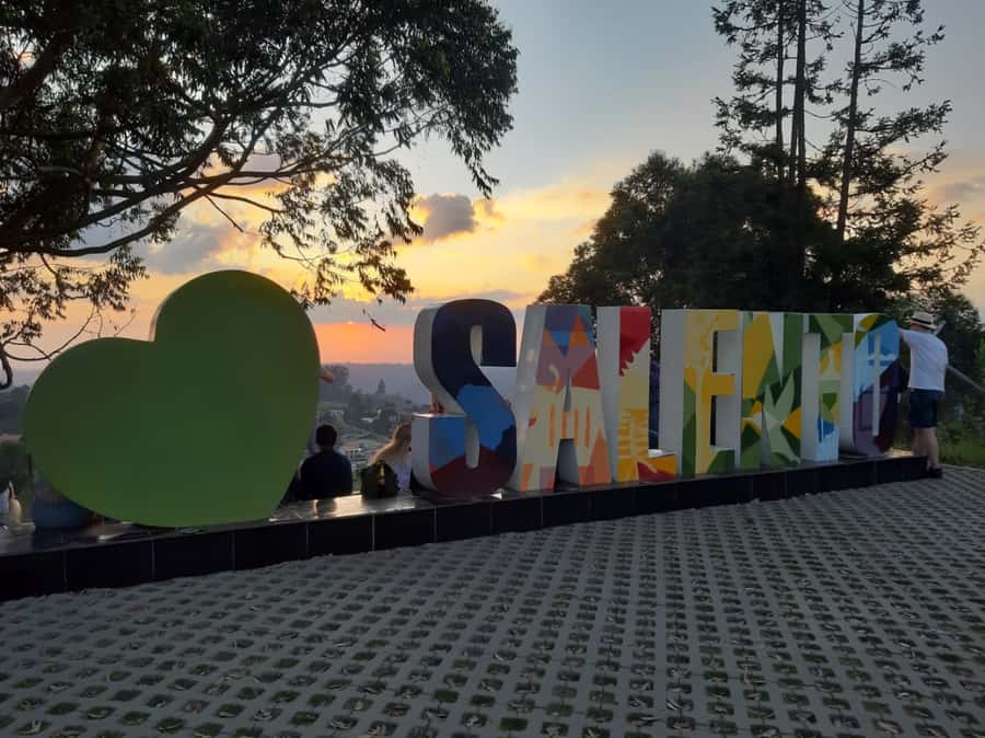 Salento: Private Cocora Valley, Salento & Coffee Farm Tour - What the Cocora hike is really like
