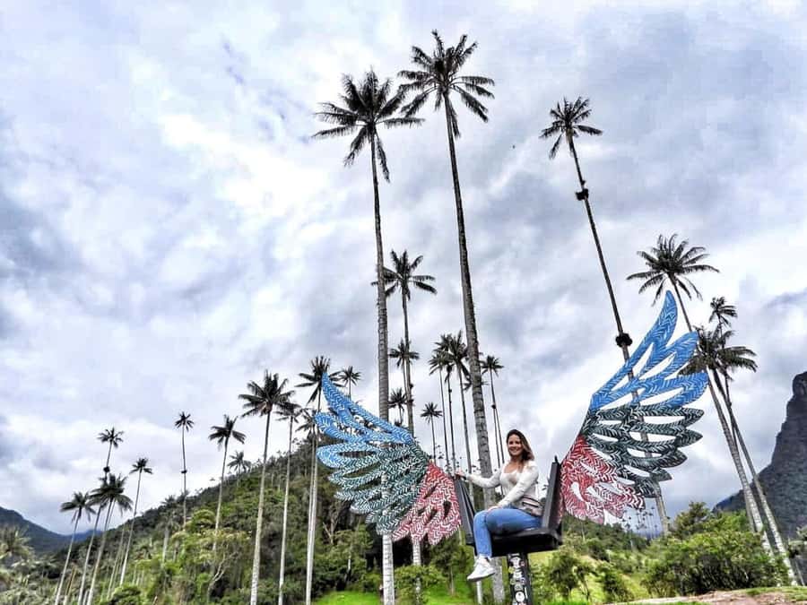 Salento: Private Cocora Valley, Salento & Coffee Farm Tour - Starting early in Cocora Valley