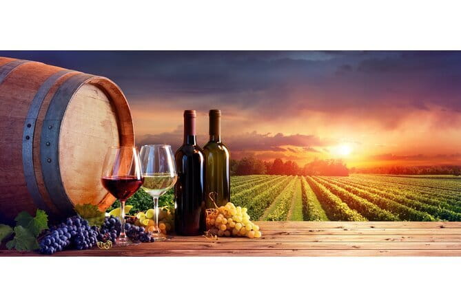 San Gimignano and Vernaccia Wine Tour with Lunch at Farm - Small groups make this more personal