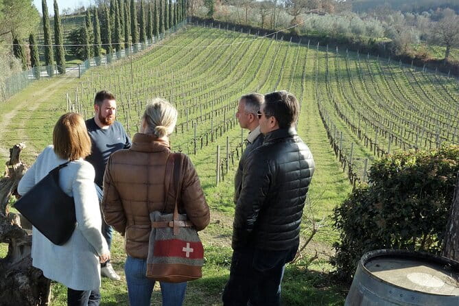 San Gimignano and Vernaccia Wine Tour with Lunch at Farm - Who should book this experience