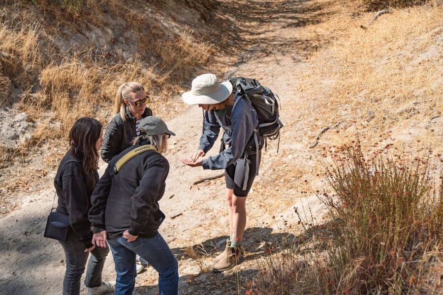 San Luis Obispo: Margarita Ranch Foraging Tour - Plant uses, safety, and the value of knowing what to leave alone