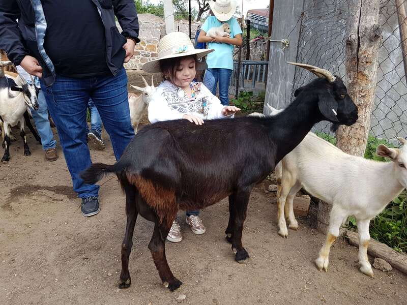 San Miguel de Allende: Full-Day Ranch Adventure - The campfire lunch is the day’s signature moment