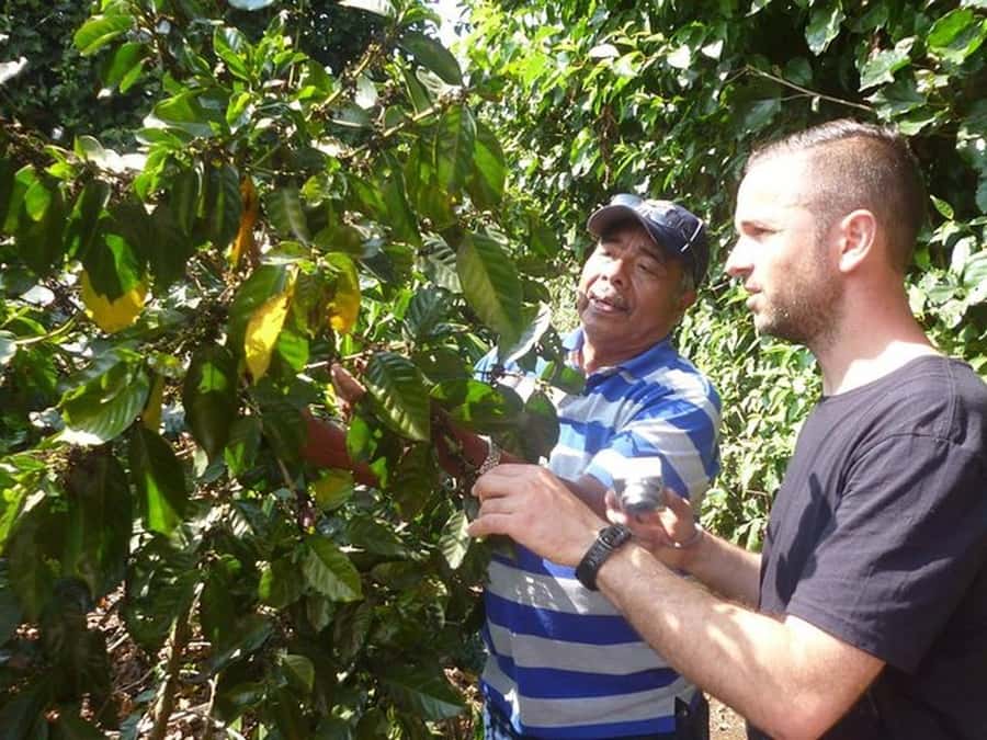 San Salvador: Full Day Ruta de Las Flores and Coffee Farm - Key points at a glance