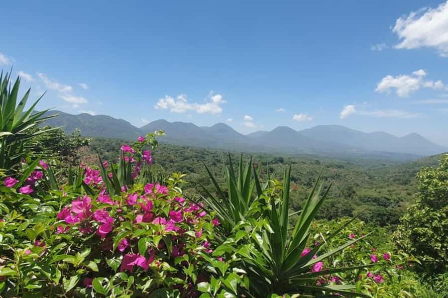 San Salvador: Full Day Ruta de Las Flores and Coffee Farm - Ataco’s murals, food, and weekend energy