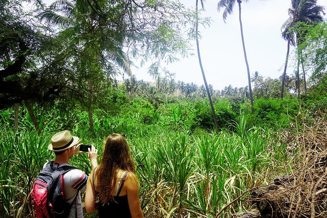 Santiago Island: Banana Plantation, Natural Park & Workshop with a local family - Who should book this morning?