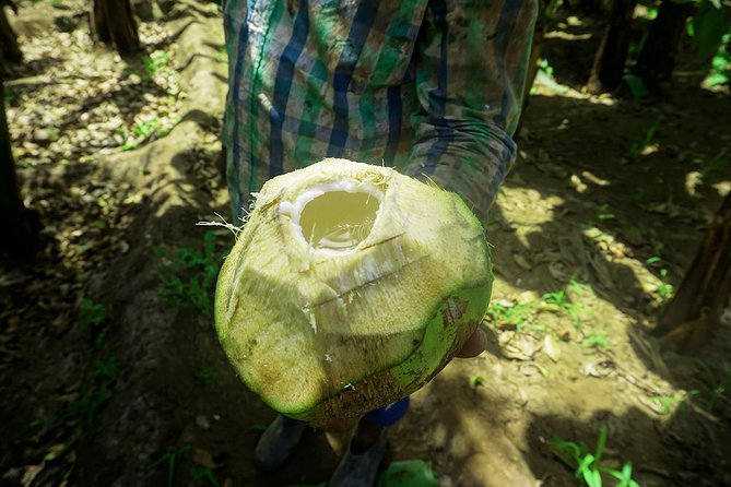 Santiago Island: Banana Plantation, Natural Park & Workshop with a local family - A few practical details before you reserve