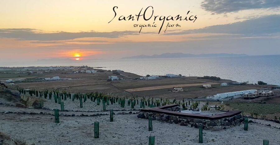 Santorini: Private Agri-Educational Visit to an Organic Farm - Key points to know before you book