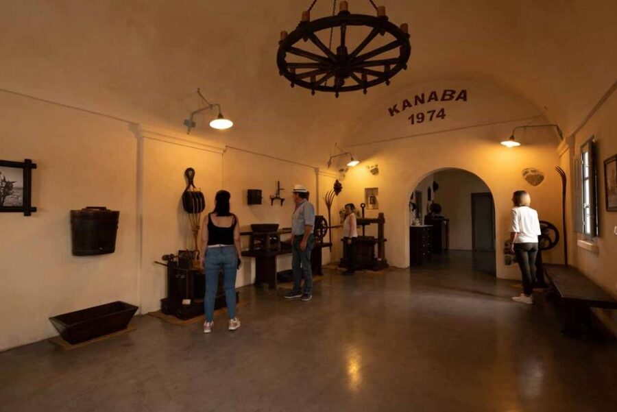 Santorini: Unexplored Culture Day Trip with Farm Visit - Who should book this Santorini outing?