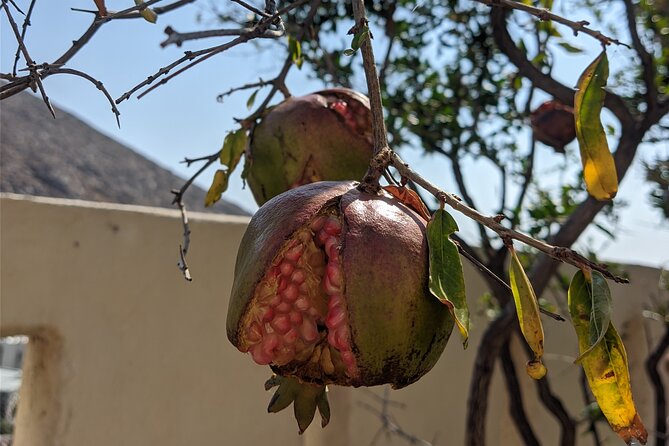 Santorinian Agriculture, Food, Wine, Beer, and Spirits - Pyrgos gives you a quick taste of old Santorini