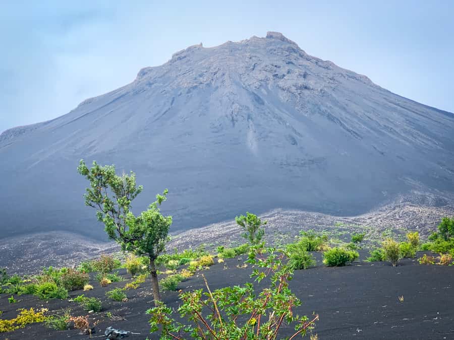Sao Filipe: Coffee Plantation and Natural Pools Day Trip - Why this seven-hour Fogo outing works