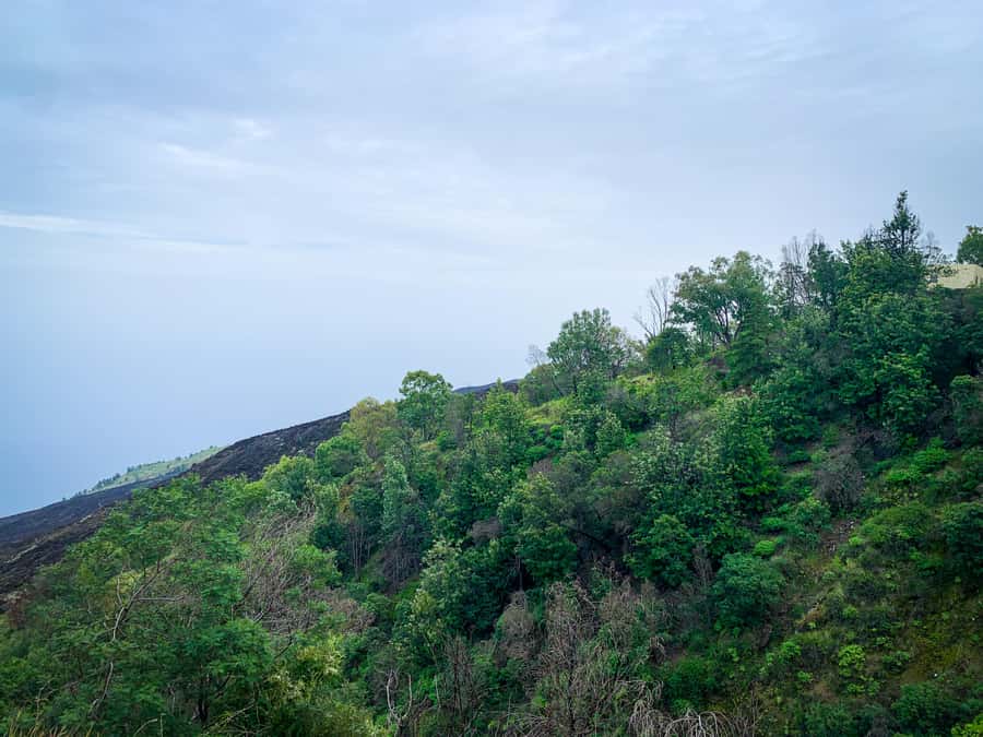 Sao Filipe: Coffee Plantation and Natural Pools Day Trip - Leaving São Filipe for Cova Figueira