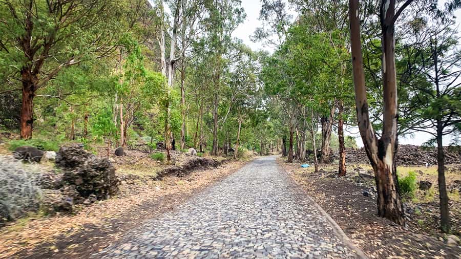 Sao Filipe: Coffee Plantation and Natural Pools Day Trip - Should you book it?