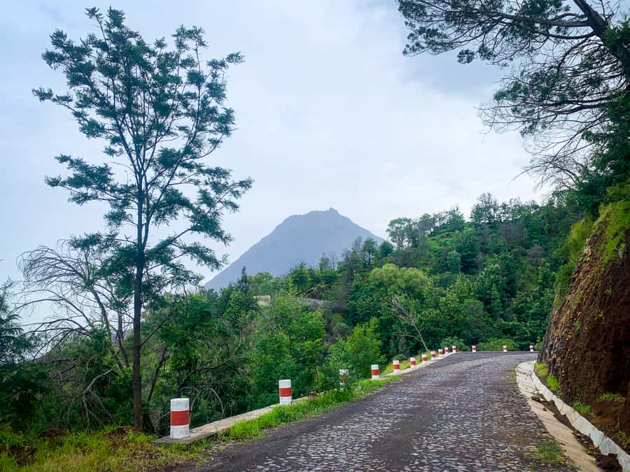 Sao Filipe: Coffee Plantation and Natural Pools Day Trip - Mosteiros, coffee, and the 1951 lava