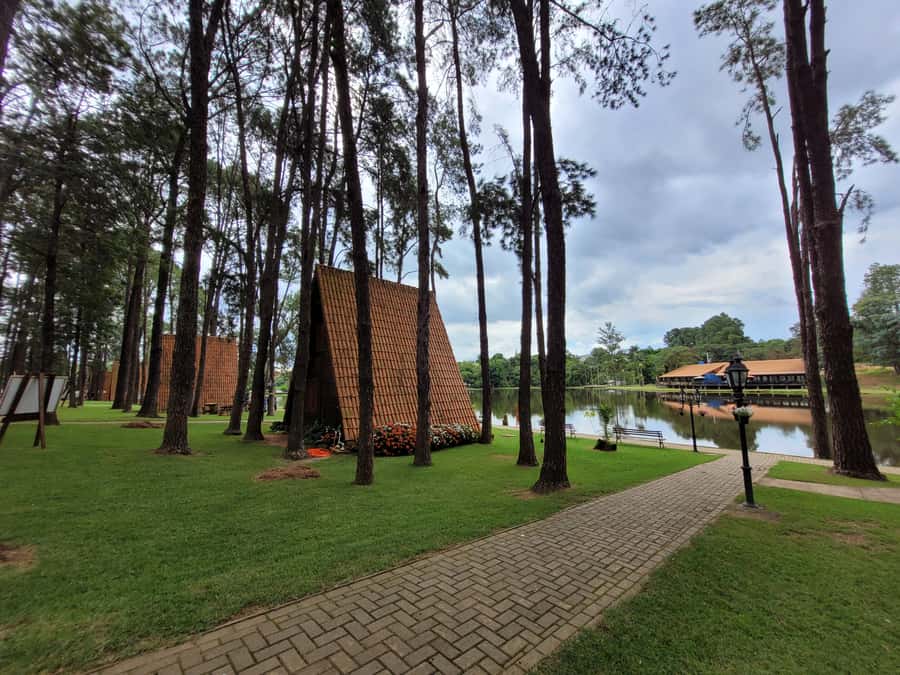 São Paulo: Holambra Colorful Flower Farm Guided Day Trip - Who will enjoy this day most