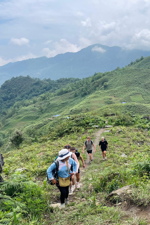 Sapa: 1-Day Trek to Mountain, Local Villages & Rice Terraces - Bamboo paths and the route beyond Hang Da