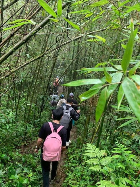 SAPA: 1-DAY TREKKING TOUR WITH LOCALS, LUNCH & RICE FIELDS - Afternoon paths through fields and bamboo