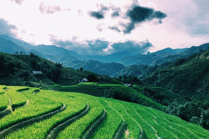 Sapa 2-Day Trek & Homestay in Ta Van Village – Be a Local - Guides Sue and Su make a real difference