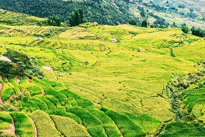 Sapa 2-Day Trek & Homestay in Ta Van Village – Be a Local - Is $45 good value for two days?