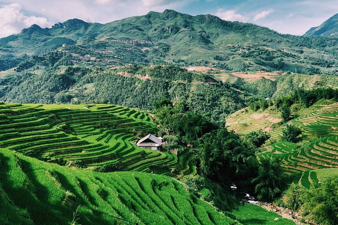 Sapa 2-Day Trek & Homestay in Ta Van Village – Be a Local - Picking vegetables, shopping, and cooking dinner