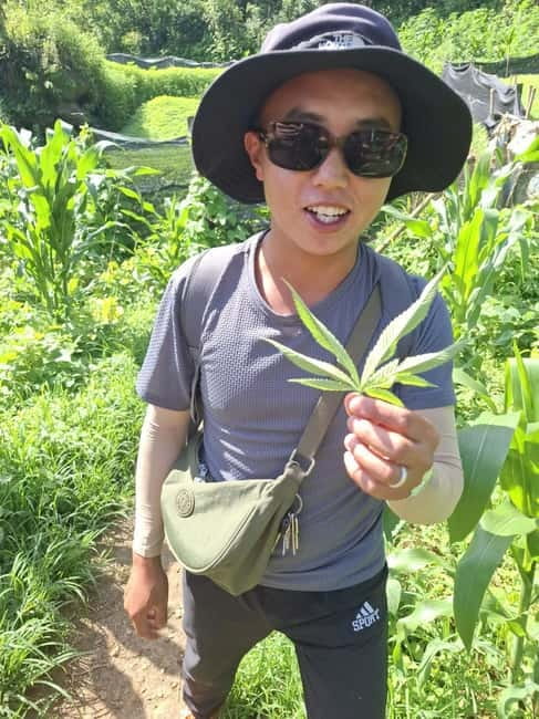 SAPA: 2 DAY TREK MOUNTAIN & RICE FIELD WITH LALA HOMESTAY - Price, inclusions, and the 800,000 VND question