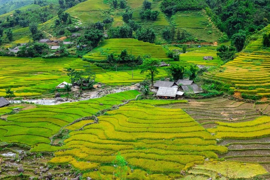 Sapa beautiful rice field, village - Easy walking kid,senior - Key points at a glance