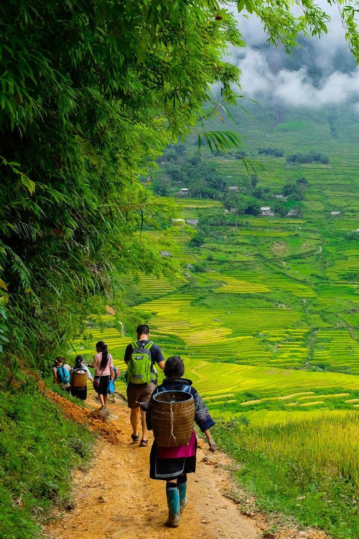 Sapa beautiful rice field, village - Easy walking kid,senior - Why this Sapa day trip works for gentle sightseeing