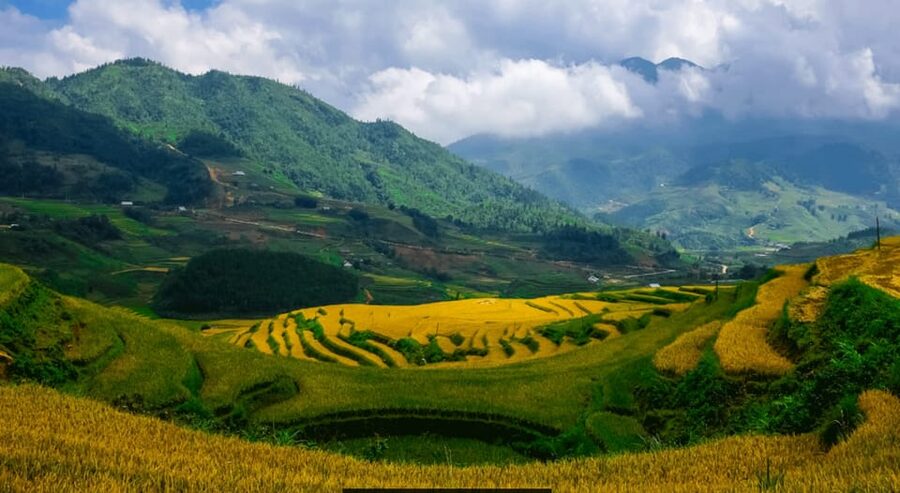 Sapa beautiful rice field, village - Easy walking kid,senior - Lao Chai and the value of a private car