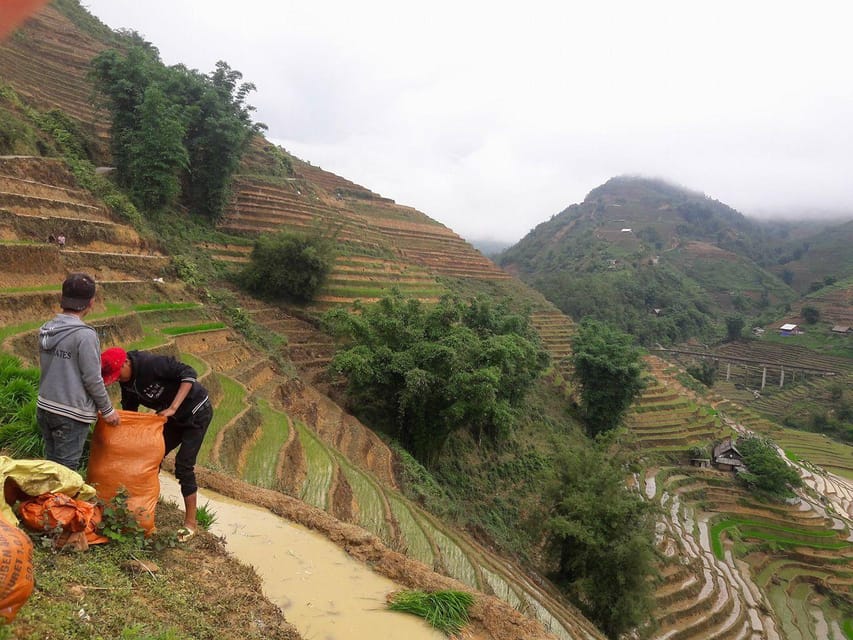 Sapa beautiful rice field, village - Easy walking kid,senior - Lunch with a view around 12:30 PM