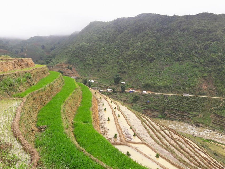 Sapa beautiful rice field, village - Easy walking kid,senior - A local homestay and optional herbal bath