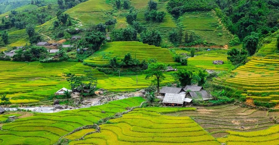 Sapa beautiful rice field, village - Easy walking kid,senior - 8:30 AM pickup and the road to Y Linh Ho