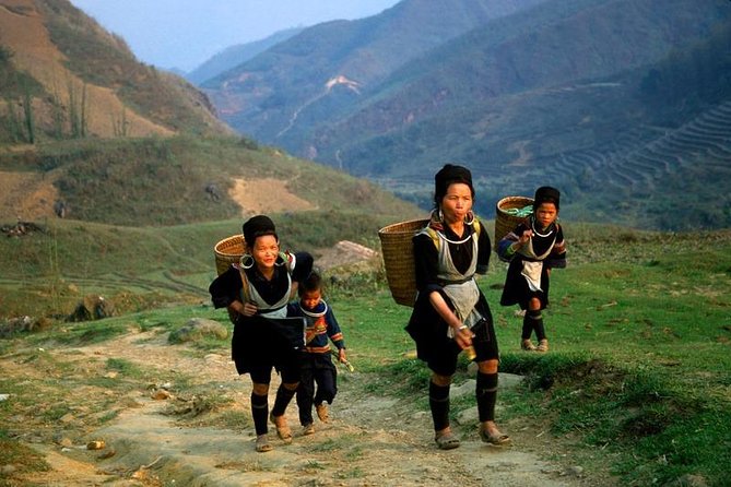 Sapa Easy Trekking For Seniors -4 Hours- The Stunning Rice Fields - What $45 buys you in practical terms