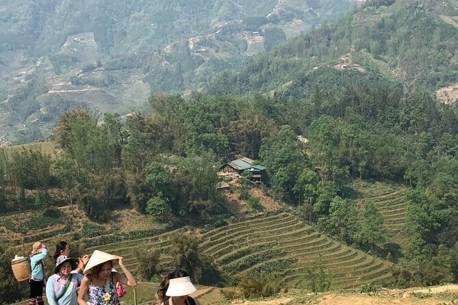 Sapa Full Day Trekking Through Rice Fields Terrace - What the $23.24 price really covers