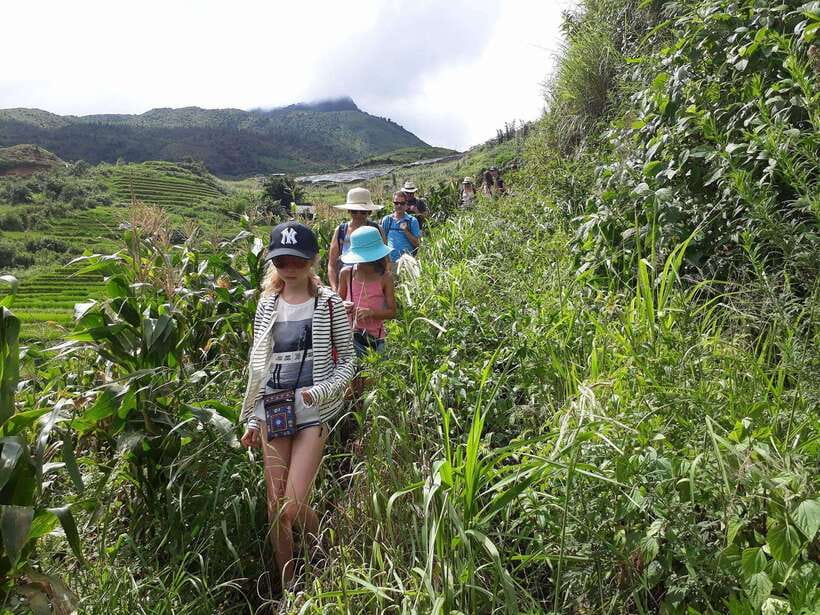 Sapa: Love Silver Waterfall, LonelyTree in Heaven-Rice Field - Walking down through Sin Chai’s fields