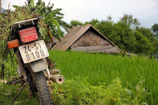 Sapa Motorbike Tour 1 Day| See All Of Rice Fields & Valleys in One Day - Starting at Sapa Church