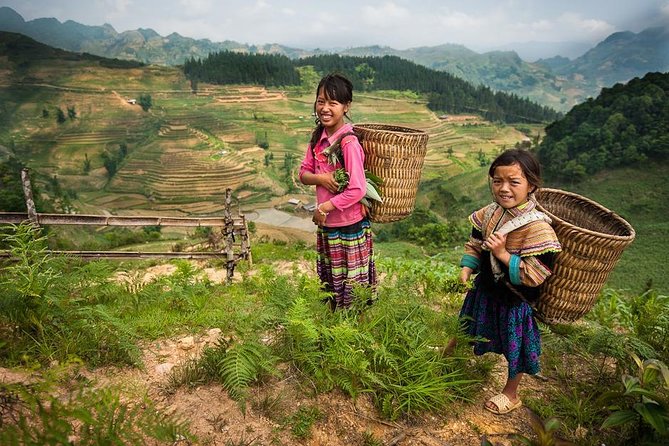 Sapa Private Car Tour - 1 Day Enjoy the Rice Terraced Fields - The private-car advantage